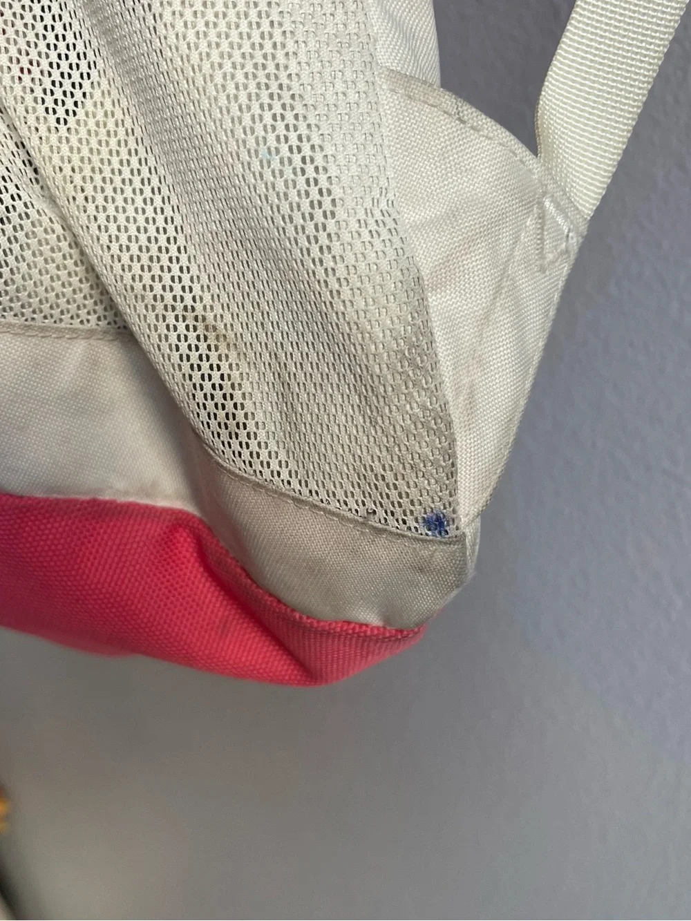 The North Face Cream and Pink Daypack Backpack